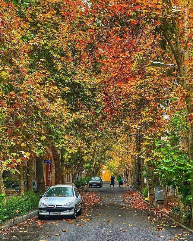تور تهران‌گردی (گذر ولیعصر)